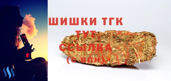 винт Снежногорск