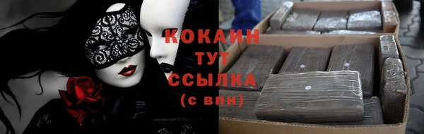 индика Белокуриха