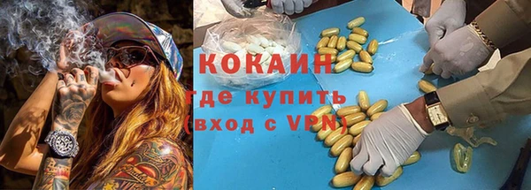 трава Богородицк