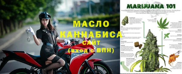 бошки Бородино
